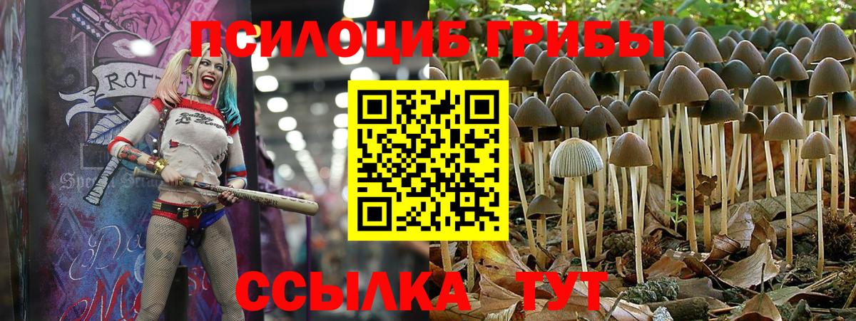 Артём  Псилоцибиновые грибы ЛСД  Вход с VPN 